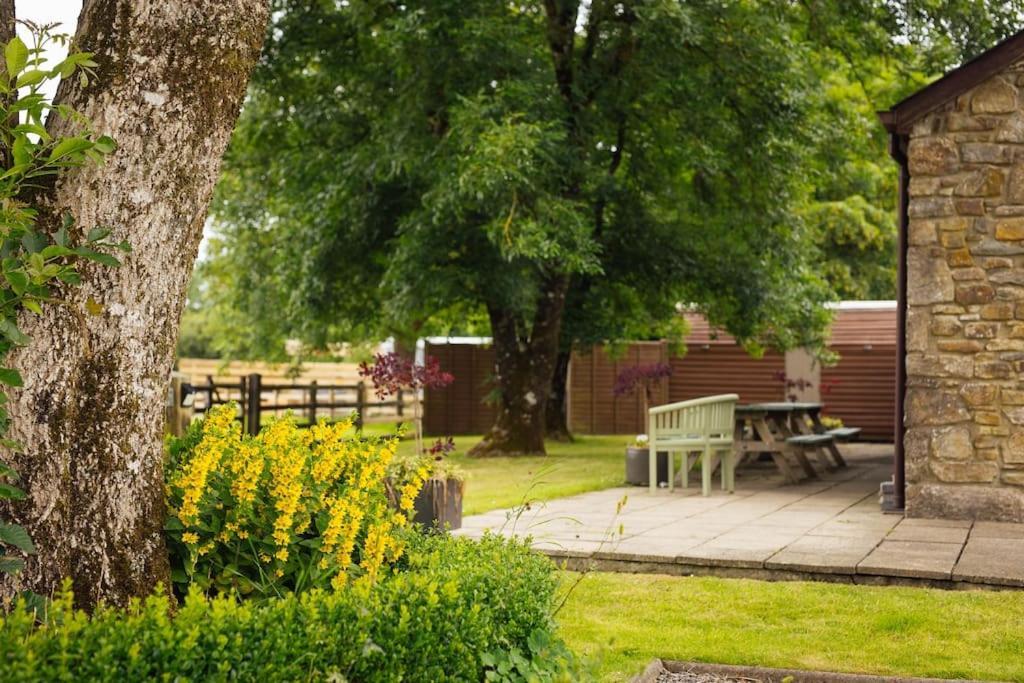 Dairy Cottage At Scolton Cottages - Indoor Pool Haverfordwest Eksteriør bilde